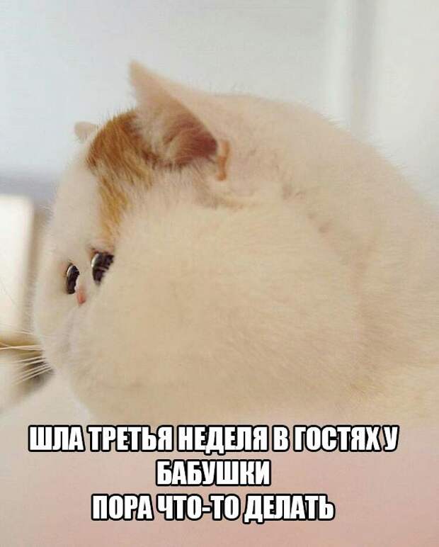Подборка интересных и смешных картинок