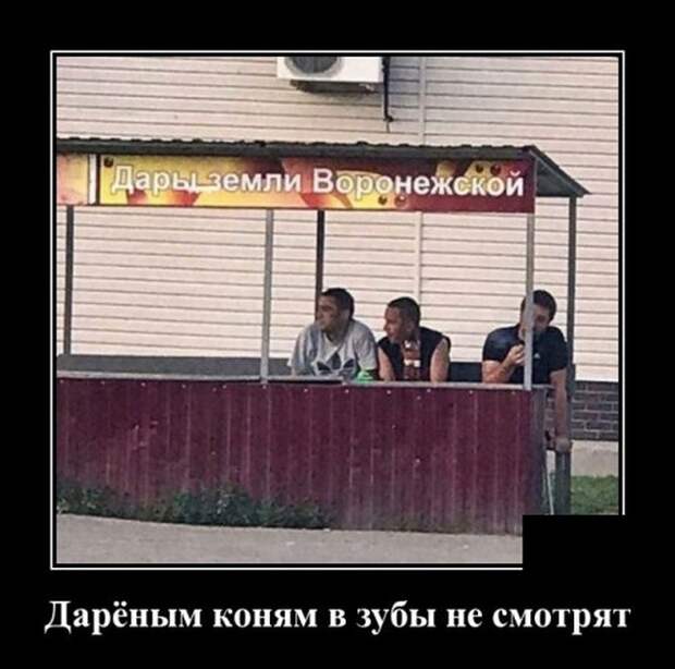 Демотиваторы (20 фото)