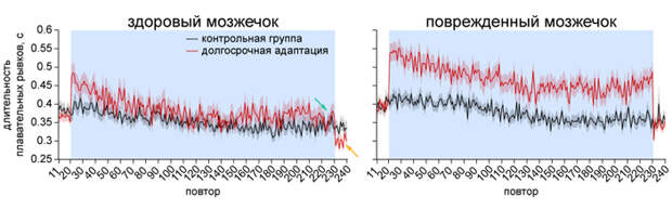 Рис. 6. Результаты эксперимента с долгосрочной адаптацией