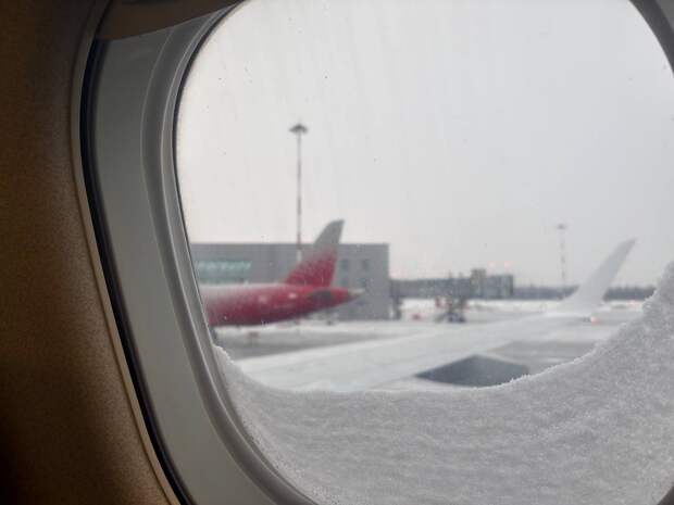 Первый рейс из Касабланки приземлился в Петербурге