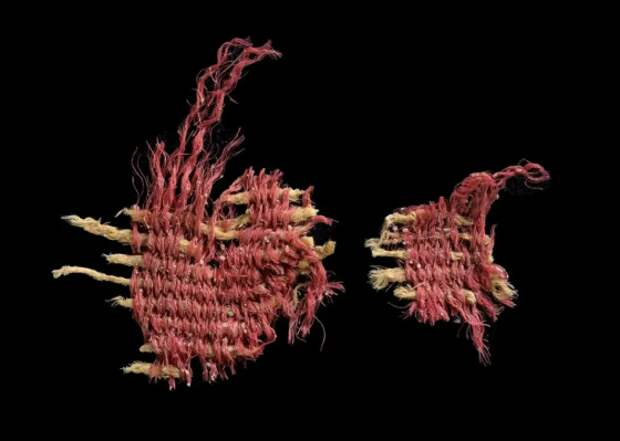 Упоминался в Библии: найден древний артефакт со следами красителя, сделанного из червя
