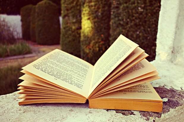 Книга. Фото: pixabay.com