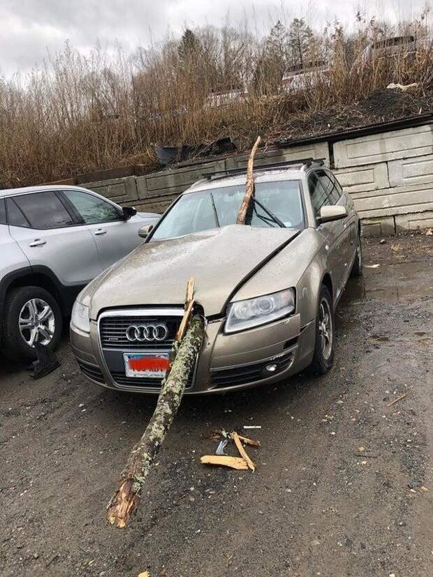 Никто из людей не пострадал Никто из людей не пострадал