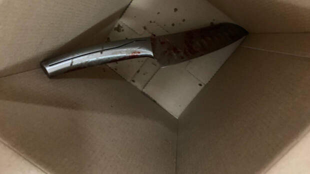 В Москве нетрезвый мужчина пытался зарезать жену и сына