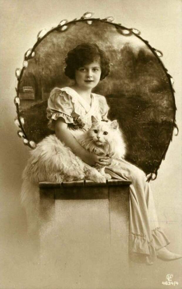 Фотография: Очаровательные винтажные кошки, которые докажут, что коты правили миром во все времена №27 - BigPicture.ru