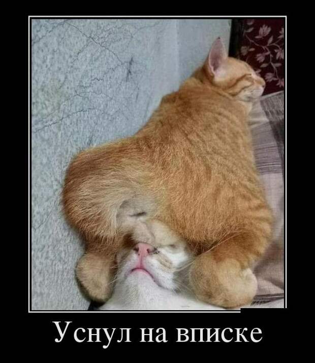 Демотиваторы (30 фото)