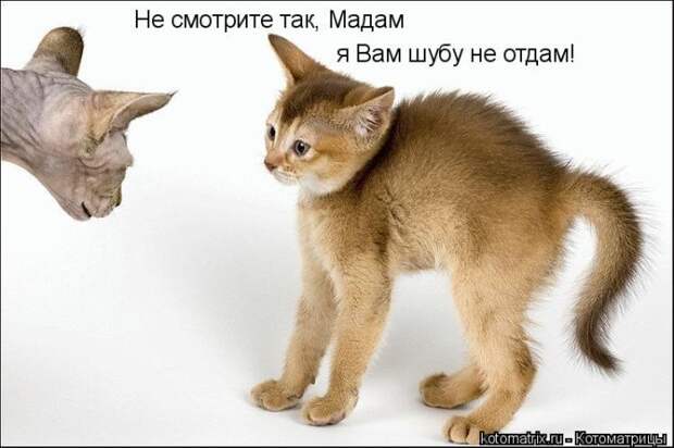 Мысли вслух :)