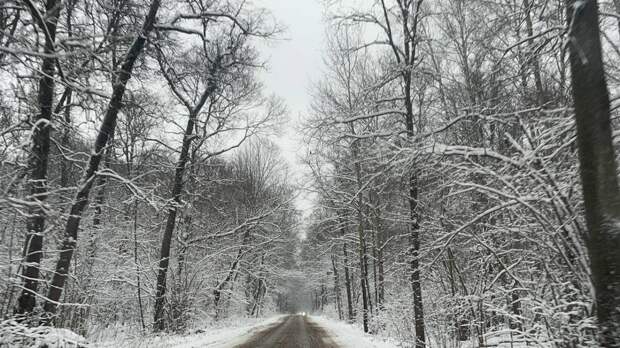 Врач-травматолог рассказал тулякам, как уберечь себя в гололед
