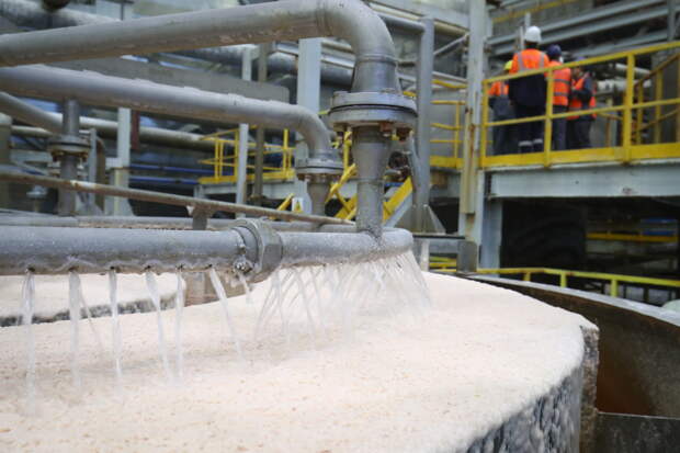 Индия предъявила высокий спрос на еще один российский товар