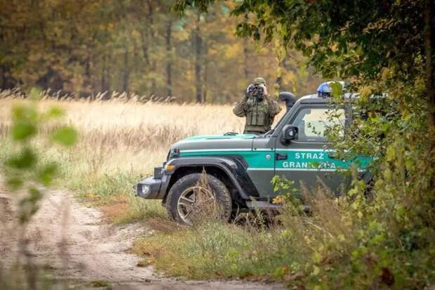 Польша восстанавливает на границе с Белоруссией буферную зону