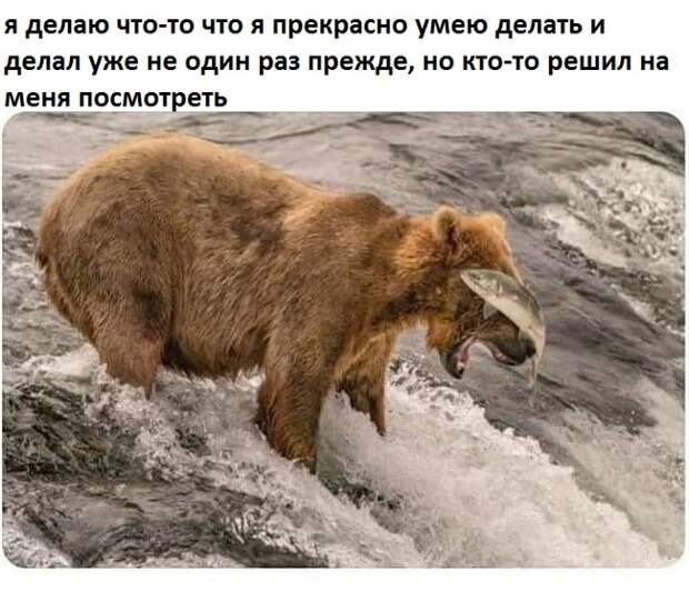 А когда никто не смотрит получается идеально А когда никто не смотрит получается идеально