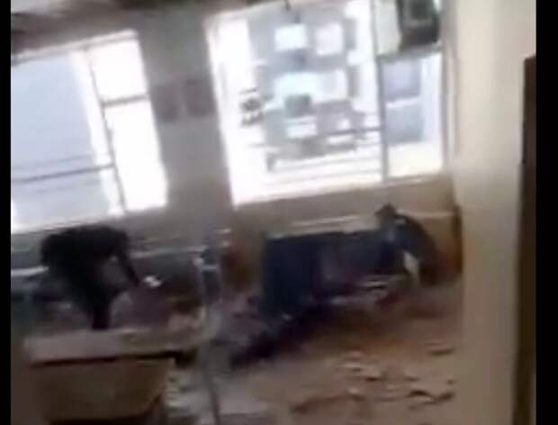 Багаи: в Тегеране атакована начальная школа имени Шахида Хамедани