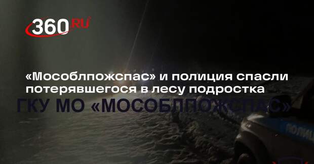 «Мособлпожспас» и полиция спасли потерявшегося в лесу подростка