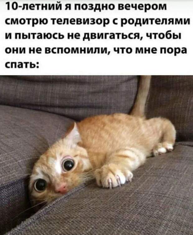 @psychology_funny #юмор #смешное #приколы