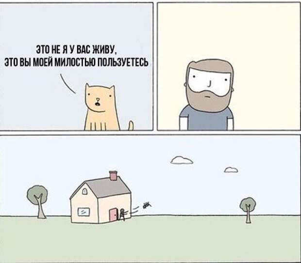 ga0Uf_z1PJc