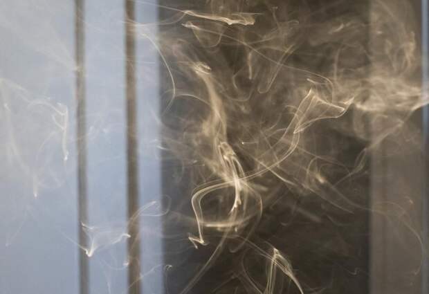 Что с февраля ждет курильщиков: новые запреты и штрафы