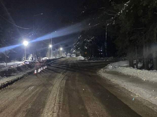 В Новгородской области водитель насмерть сбил девушку
