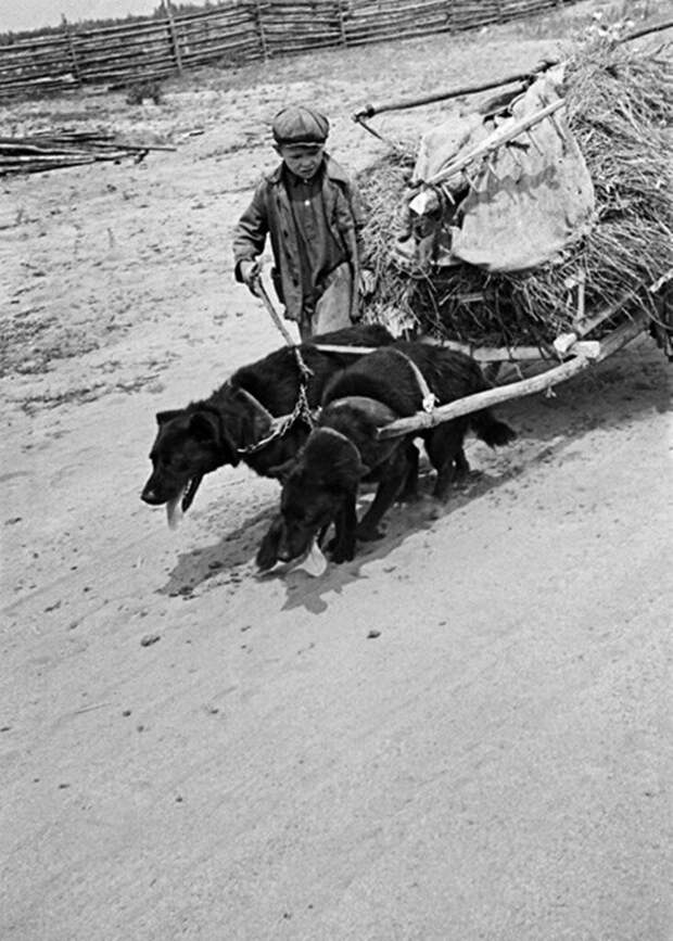 Дороги войны, 1942 г. Дороги войны, 1942 г.