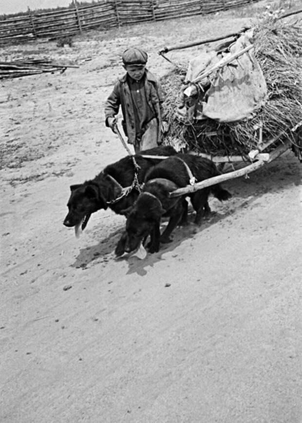 Дороги войны, 1942 г. 