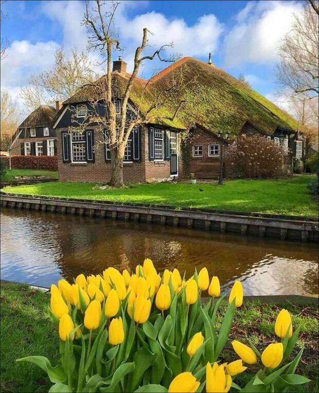 фото приколы