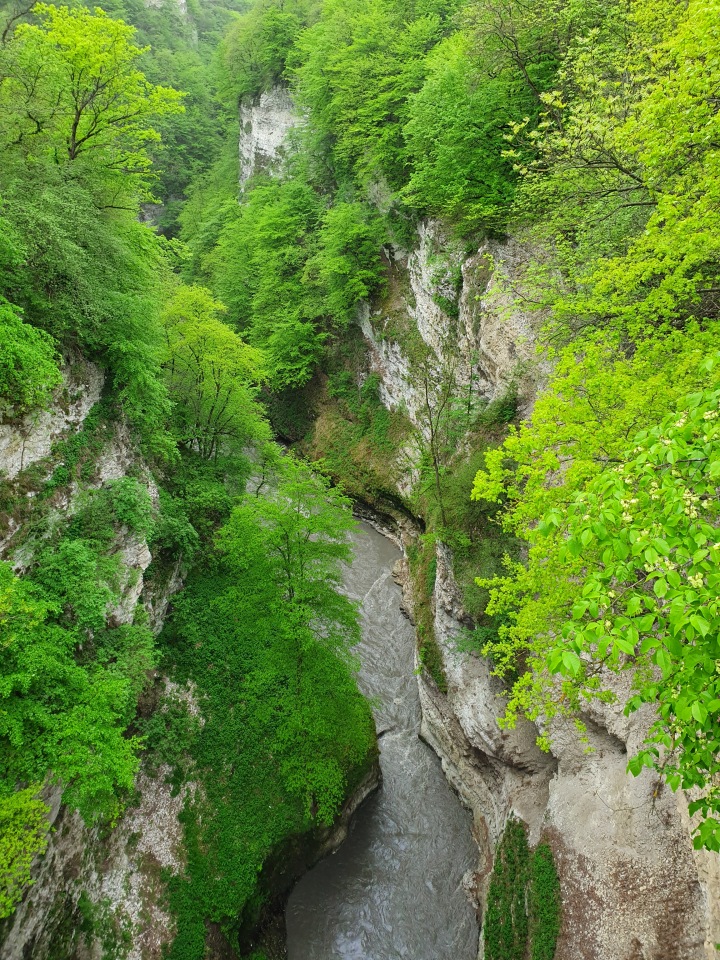 Чеченский калейдоскоп