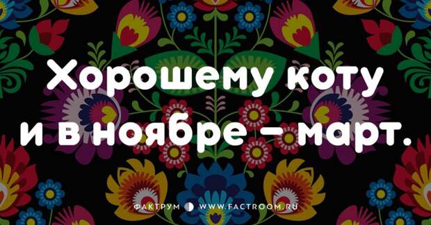 20 смешных современных поговорок, которых вы ещё не слышали 20 смешных современных поговорок, которых вы ещё не слышали