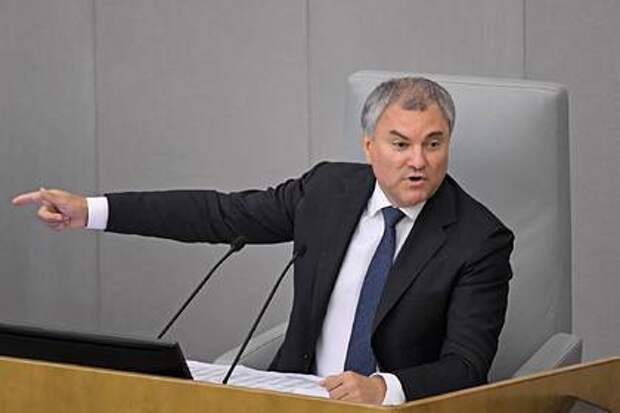 Володин заявил о работе Навального на западные спецслужбы Володин заявил о работе Навального на западные спецслужбы