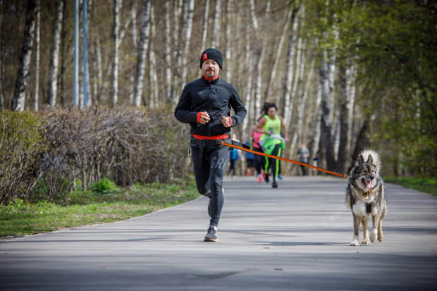 Мастер-класс по дрессуре собак пройдет в парке «Кузьминки-Люблино»