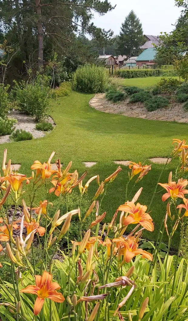 Ландшафтный дизайн для новичков: простые правила, как превратить дачу в рай на земле без сумасшедших трат