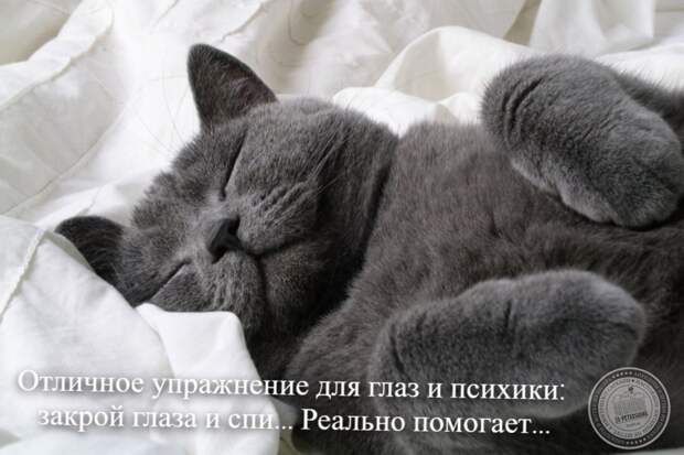 Упражнение