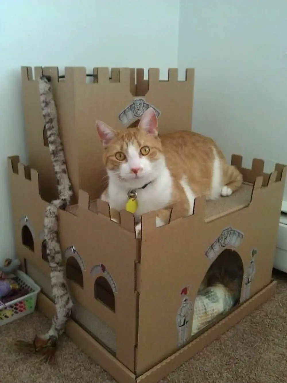 Домик для котёнка из коробки