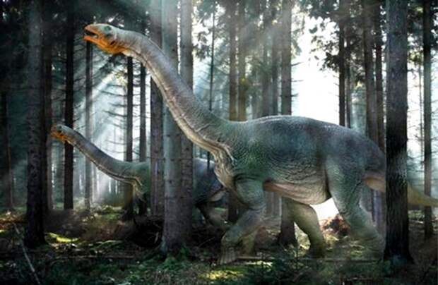 Рис. 4. Немегтозавр (Nemegtosaurus mongoliensis), длина тела – до 15 м