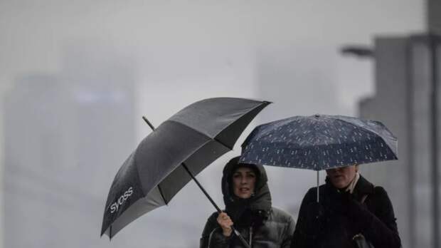 Синоптик Леус спрогнозировал короткие дожди в Москве