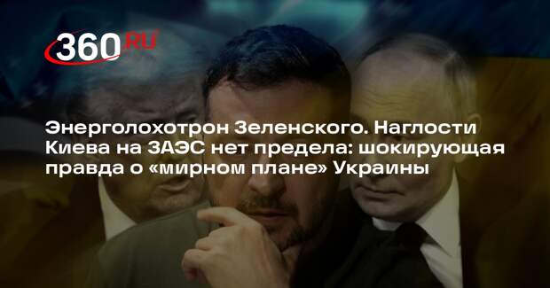 Политолог Станкевич: план Зеленского поражает неуклюжестью, Россия не согласится