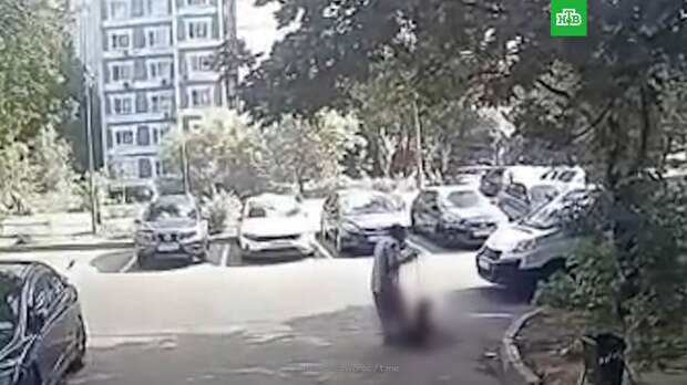 В Москве собака погибла после издевательств мужчины