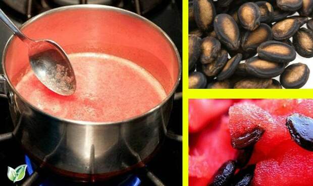 Watermelon-Seeds