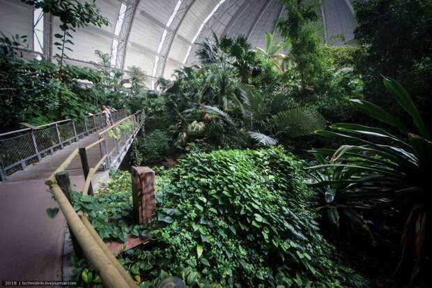 Tropical Islands - искусственный рай путешествия, факты, фото