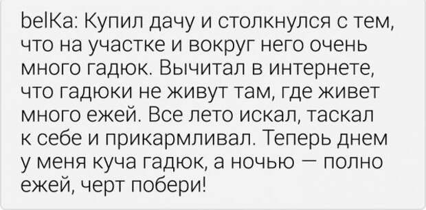 Забавные истории из социальных сетей Забавные истории из социальных сетей