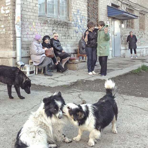 Печальные фото российской провинции, сделанные на iPhone социальным работником