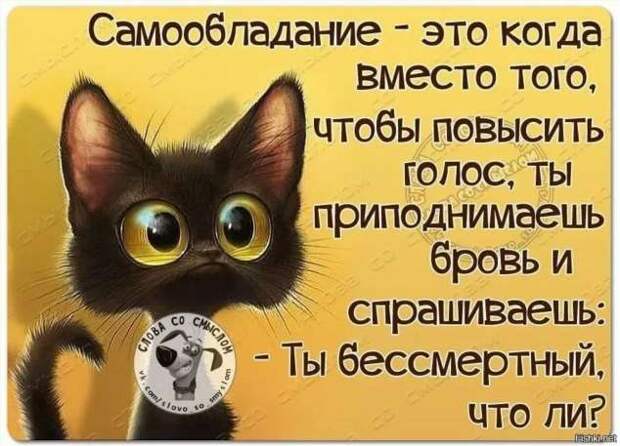 Неадекватный юмор из социальных сетей. Подборка chert-poberi-umor-chert-poberi-umor-54430616062020-8 картинка chert-poberi-umor-54430616062020-8