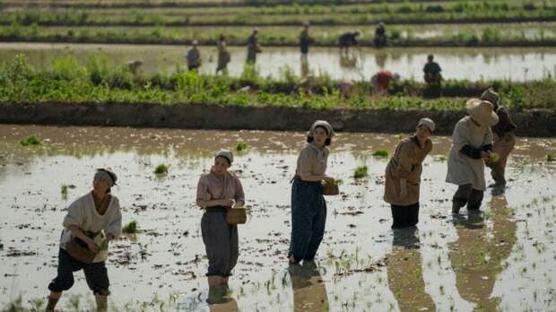 Horizontal shot of Sunja and Kyunghee standing in rice field with other workers