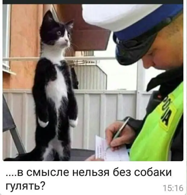 Мужчина без женщины как собака без блох – жить можно, но скучно! А женщина без мужчины как блоха без собаки – жить можно, но кусать некого! Мужчина без женщины как собака без блох – жить можно, но скучно! А женщина без мужчины как блоха без собаки – жить можно, но кусать некого! говорит, голос, Внутренний, следующий, уходит, Ковбой, звонок, дверь, мужчина, братья, близнецы, Женщина, Здравствуйте, влево, пожалуйста, анальный, голову, потом, время, валерьянки