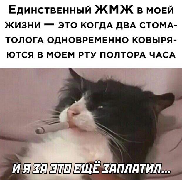 Смешные картинки 16 июля 2021