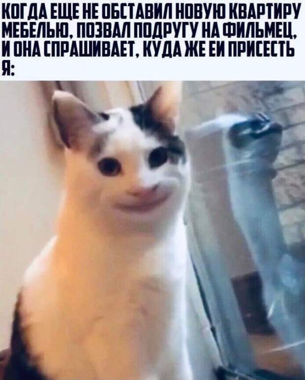 Мемы и приколы про 