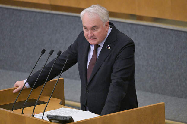 В Госдуме объяснили законопроект о защите россиян за границей с помощью армии