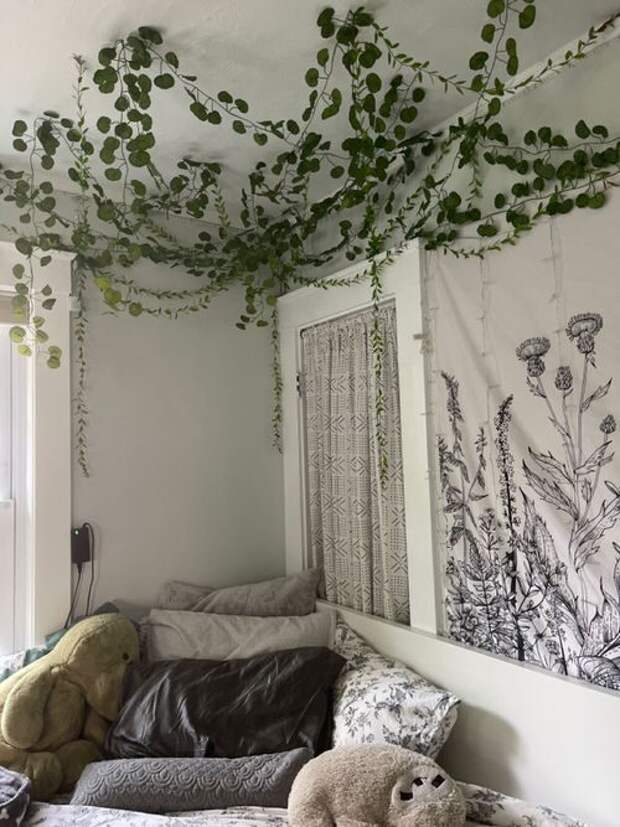 Идеи украшения стен вьющимися растениями