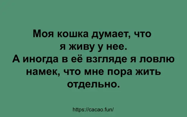 Новая десятка смешных анекдотов и шуточек
