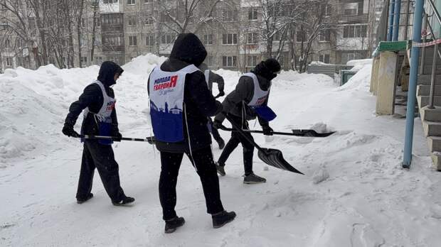 «Снежный десант» единороссов и молодогвардейцев наводит порядок в регионах после снегопадов