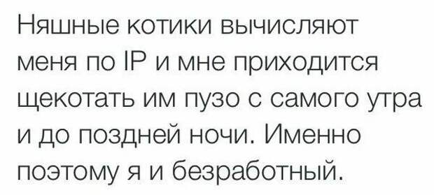 Отмазки, такие отмазки Отмазки, такие отмазки безработица, прикол, работа, трудоустройство, юмор