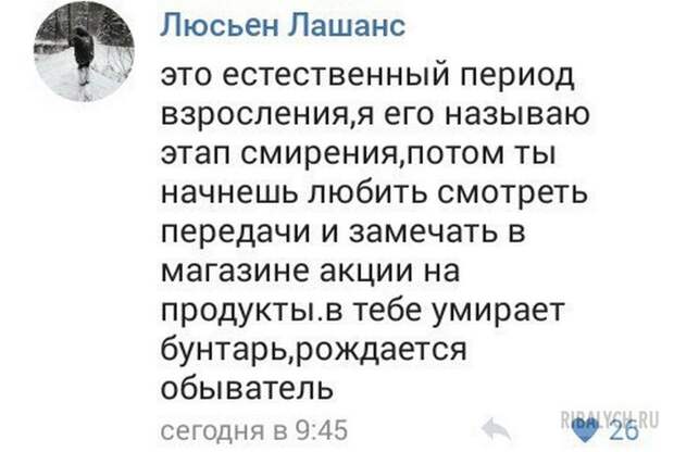 комменты из соцсетей